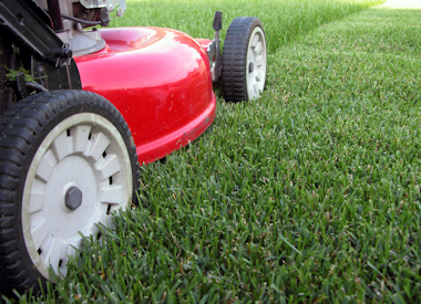 red lawnmower