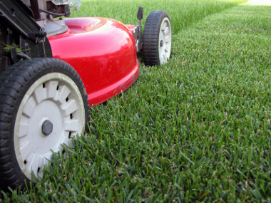 photo of lawn mower