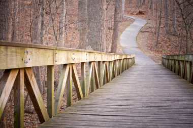 Bridge on trail