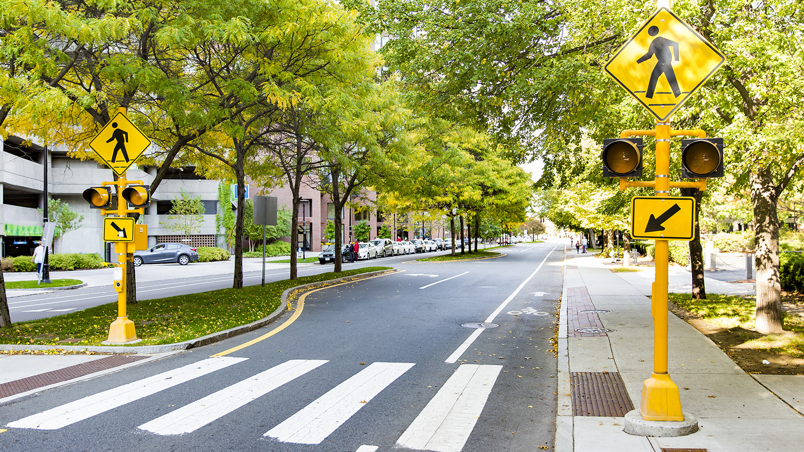A crosswalk and pedestrian island marked by yellow pedestrian crossing signs