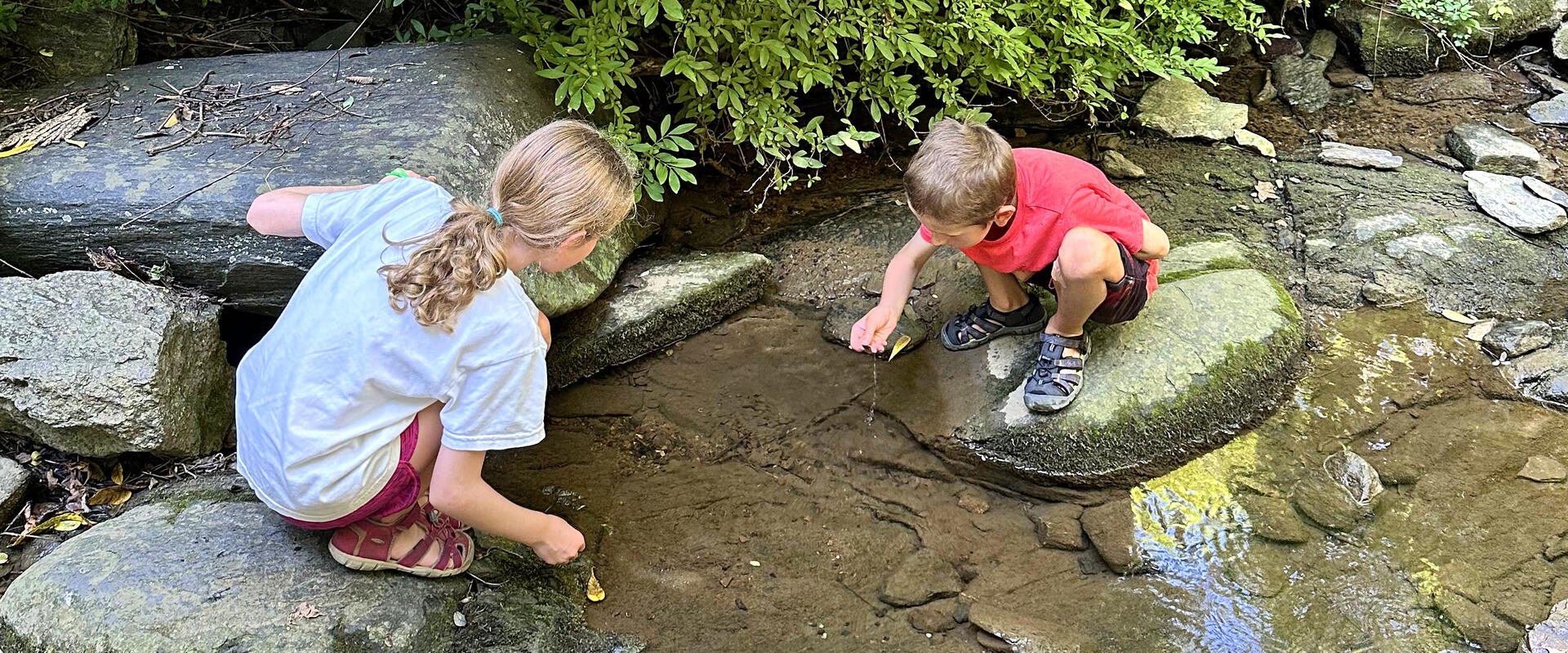 Two children crouch on large rocks in a shallow stream, examining pebbles and leaves in the water.