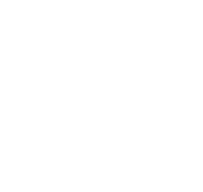 Map Icon